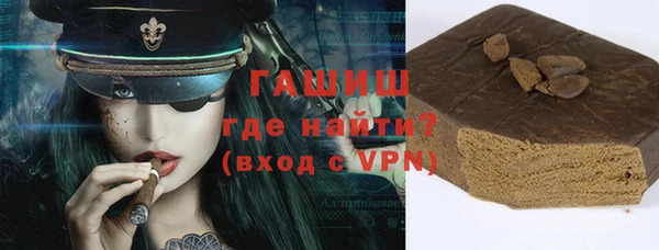 индика Дмитров