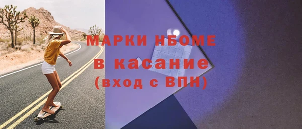 индика Дмитров