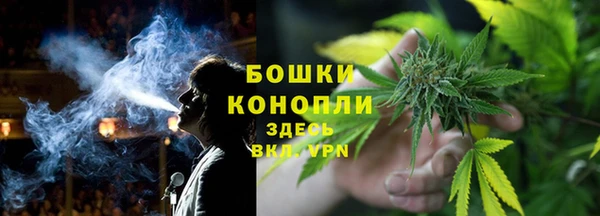индика Дмитров