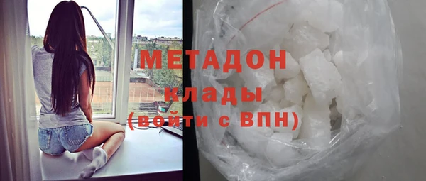 индика Дмитров