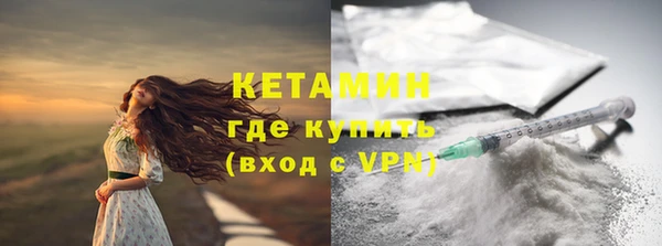 индика Дмитров