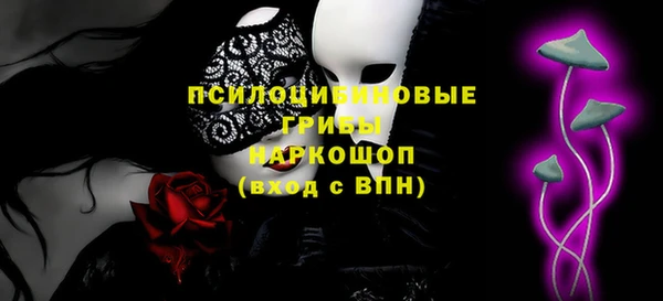 индика Дмитров