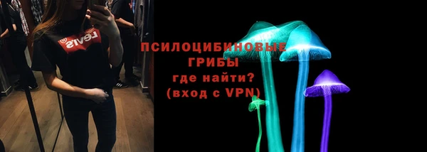 индика Дмитров