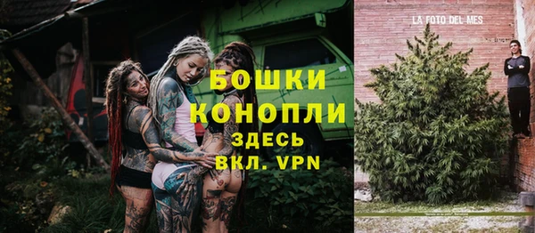 индика Дмитров