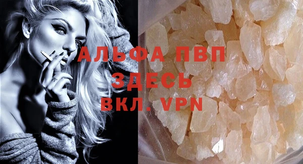 индика Дмитров