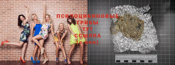индика Дмитров
