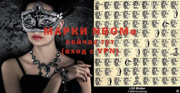 индика Дмитров