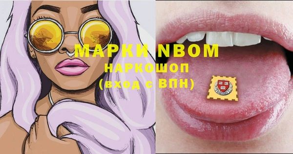 индика Дмитров