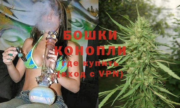 индика Дмитров