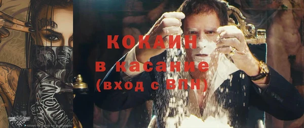 индика Дмитров
