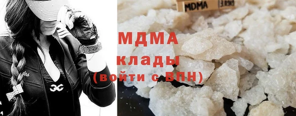 индика Дмитров