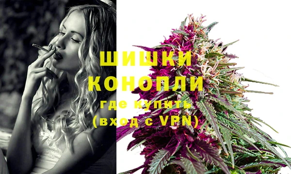 индика Дмитров