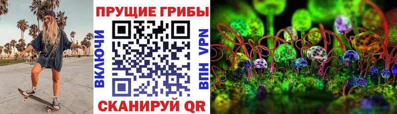 Псилоцибиновые грибы Psilocybe  Новосокольники 